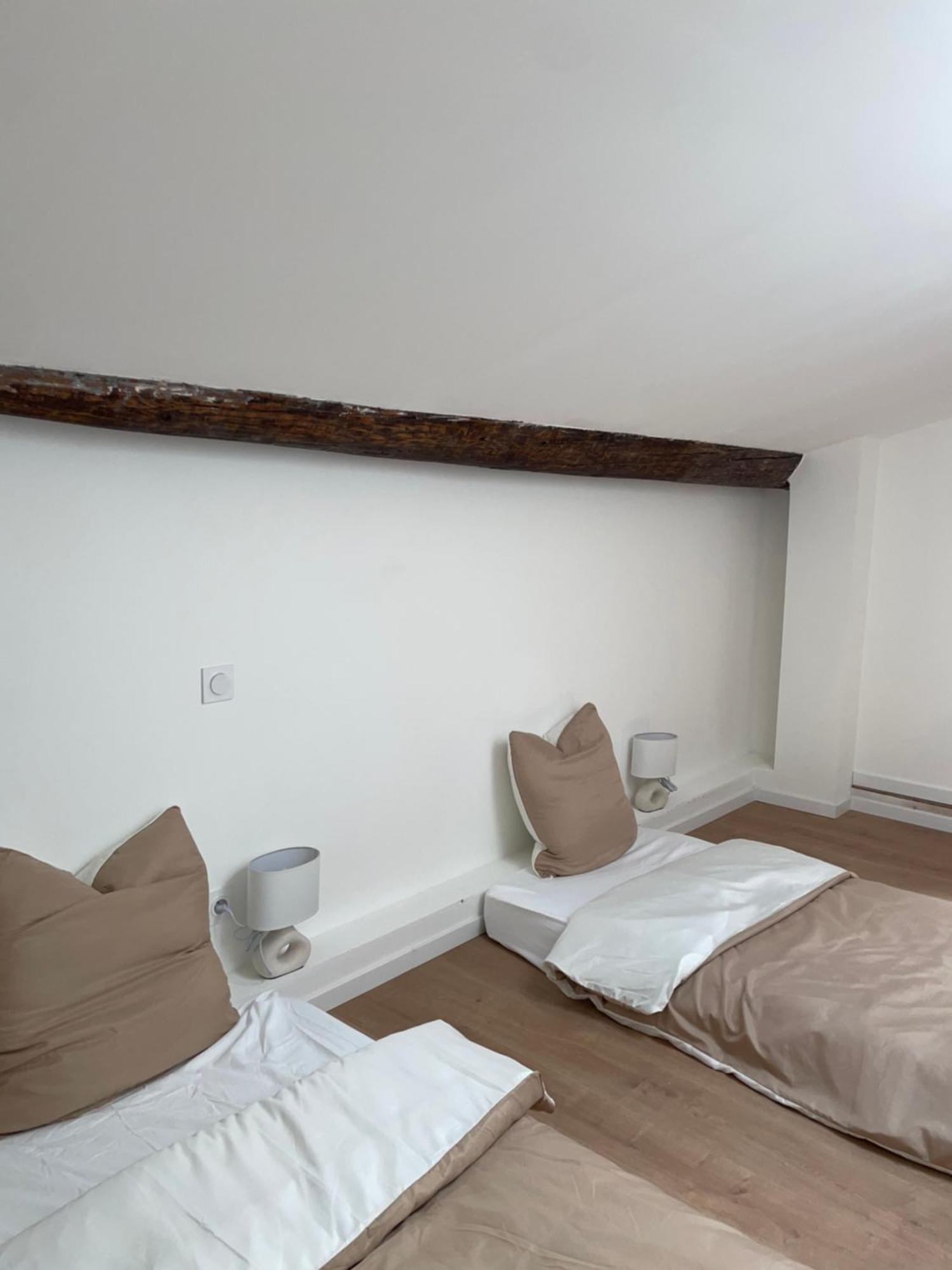 Duplex Raffine, Elegant & Climatise - La Mezz Daire Nîmes Dış mekan fotoğraf